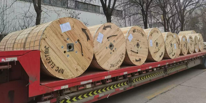 Efficient Logistics & Timely Delivery