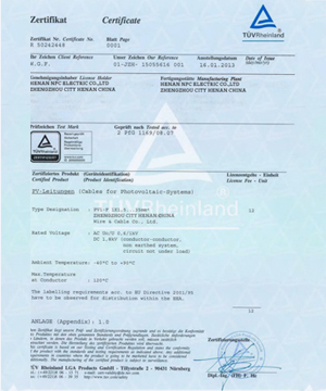 NPC ELECTRIC Zertifikat Of Certificate