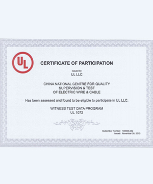 NPC ELECTRIC Ul Certificate Of Participation