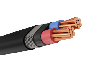 CONCENTRIC CABLE