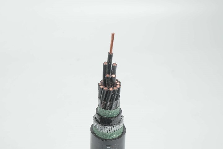 Control Cable 0.6/1 kV CVV-SWA to IEC 60502 Standard image1