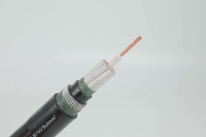 Control Cable 0 6 1 KV CVV S To IEC 60502 Copper Tape Shielded PVC Control Cable 0 6 1 KV CVV S To IEC 60502 Copper Tape Shielded PVC