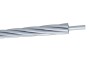 Galvanized Steel Conductor