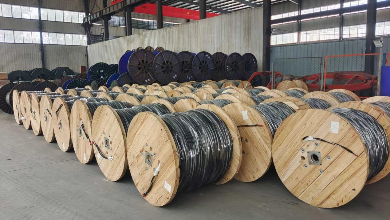 AAAC Conductor and Triplex Cables for Edenorte Project