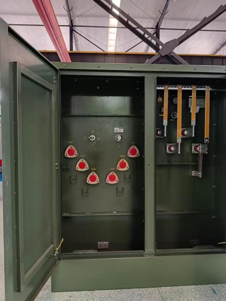 NPC ELECTRIC 750kVA Pad Mounted Transformer