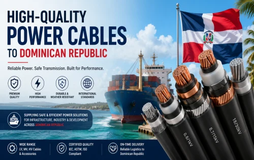NPC Electric Successfully Supplies Multiple Batches of High-Quality Power Cables to Dominican Republic