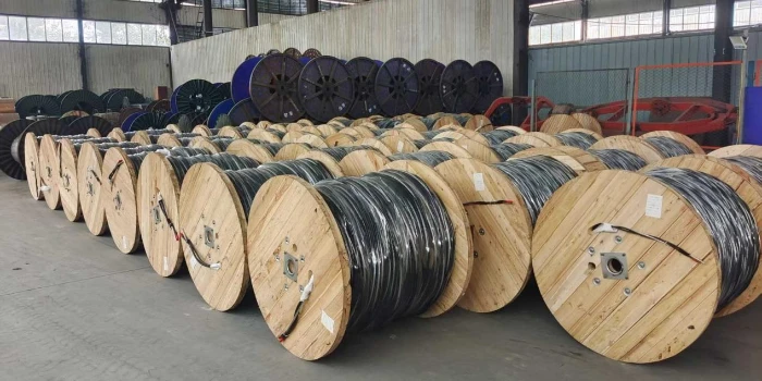 AAAC Conductor Cable & Triplex Cable