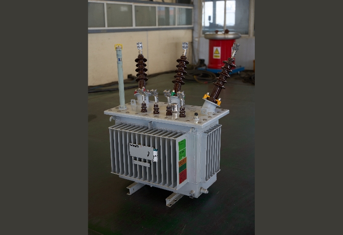 75kVA Oil Immersed Transformer4